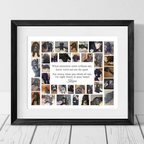 When tomorrow starts without me, pet remembrance collage