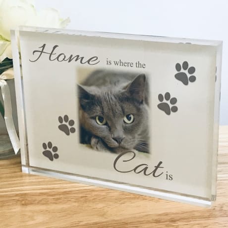 Home Is Where The Cat Is Photo Block