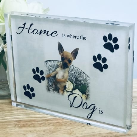 Home Is Where the Dog is Photo block