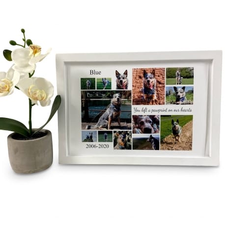 Personalised Deluxe Wall Frame Pet Remembrance Keepsake