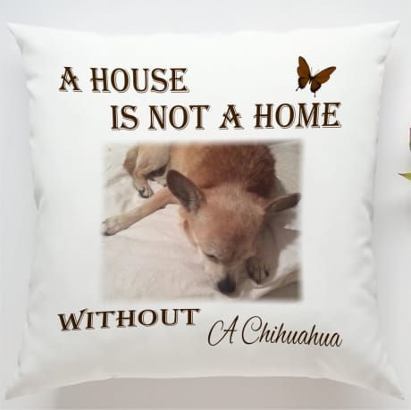 Photo Cushion: A house is not ...