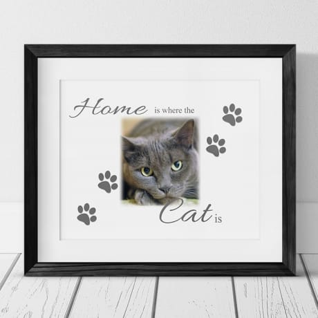 Home Is Where The Cat Is Frame