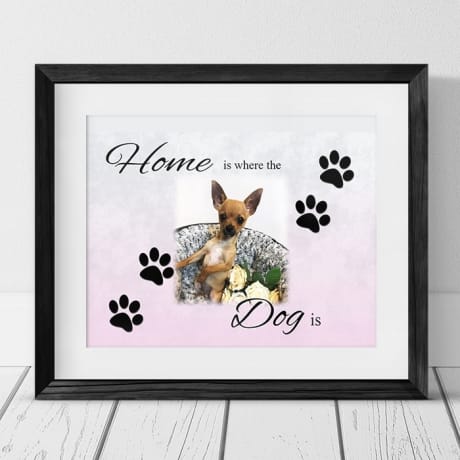 Home Is Where the Dog is Frame