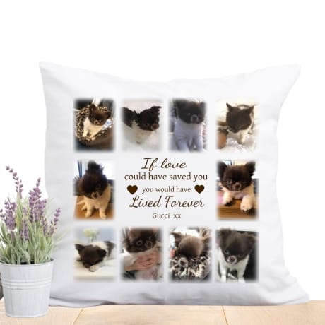 Personalised Pet Remembrance cushion - Lived Forever 