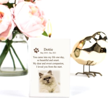 Pet Remembrance Tea Light  You came into my life 