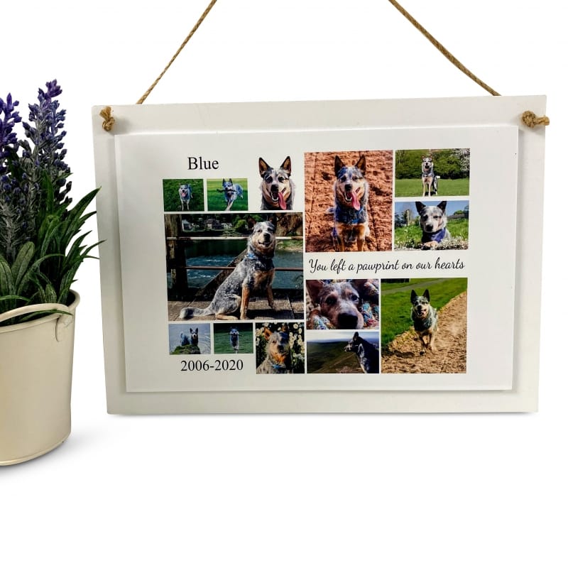 Personalised Deluxe Wall Sign Pet Remembrance Keepsake