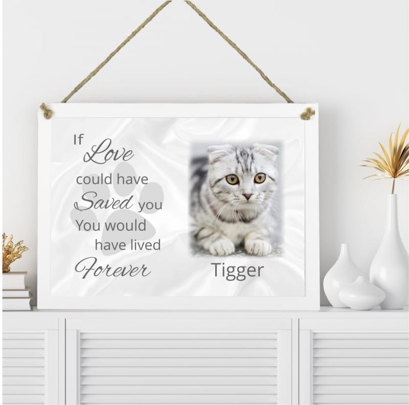Pet Remembrance Plaque If love could have saved you