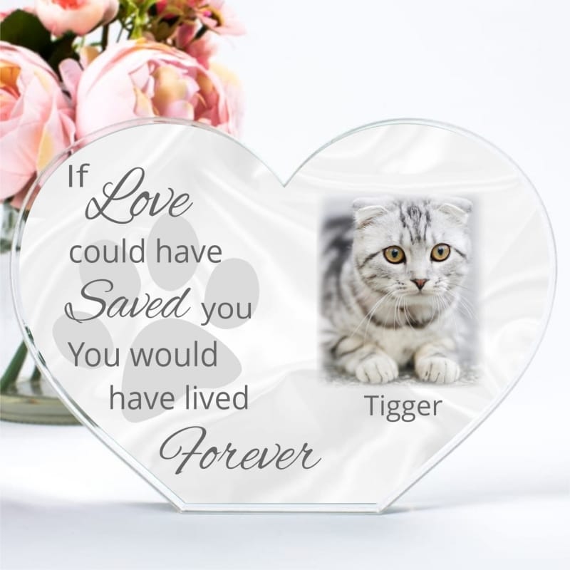 Pet Remembrance Heart  If love could have saved you