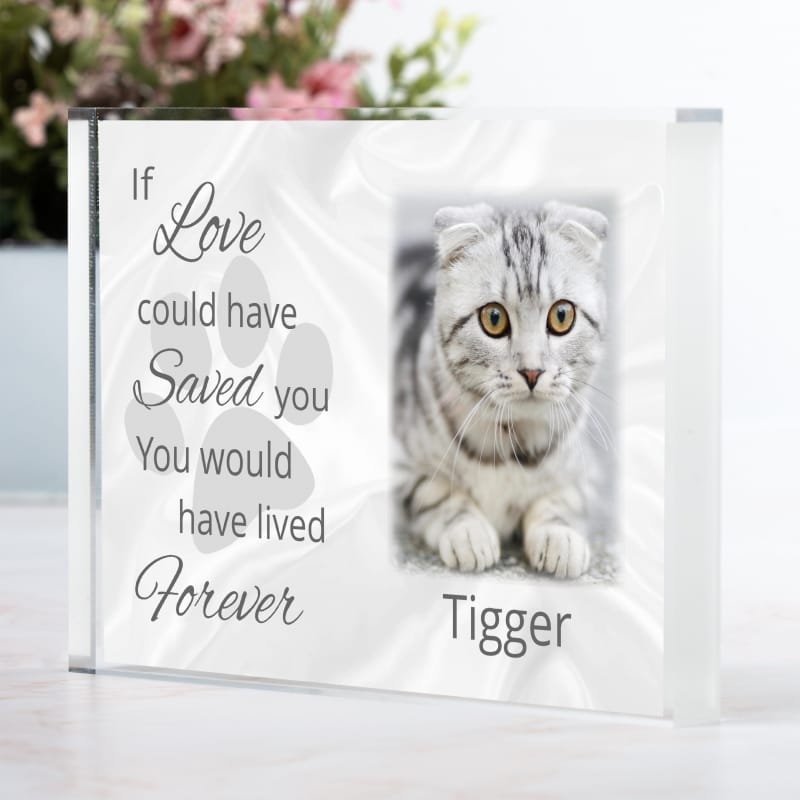 Pet Remembrance block If love could have saved you