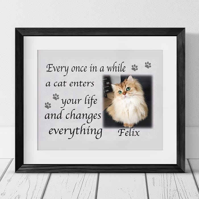 Personalised cat photo frame 