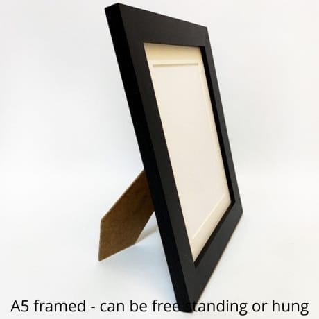 Frame only