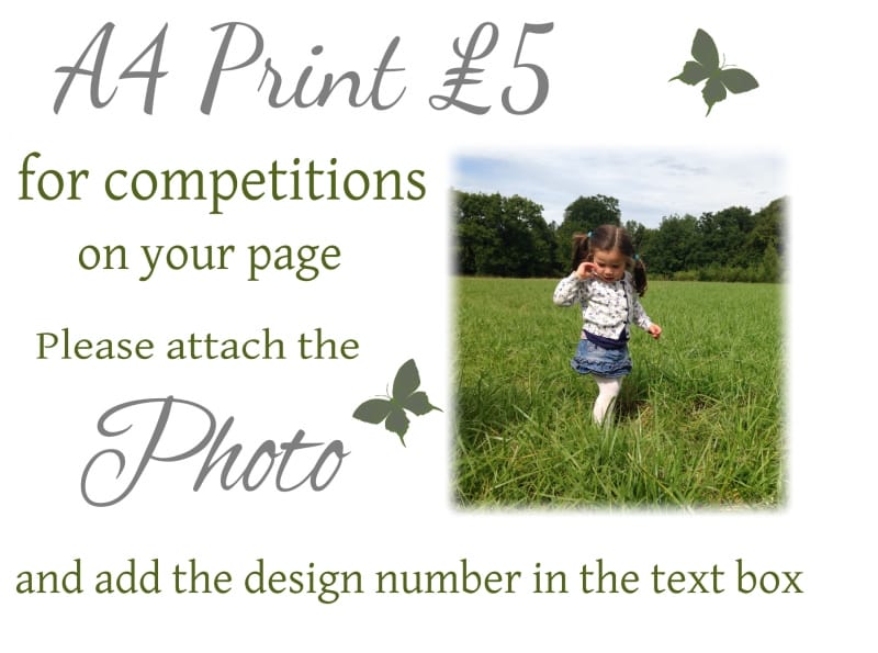 Competition a4 print