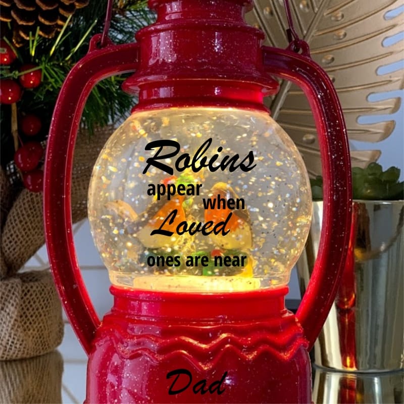 Robin Snow Globe Red Remembrance