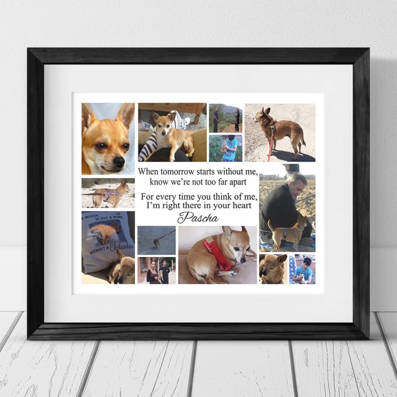 When Tomorrow Starts Without Me,  13 photo Pet Remembrance Collage