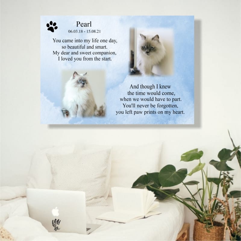 Pet Remembrance Canvas  You came into my life 
