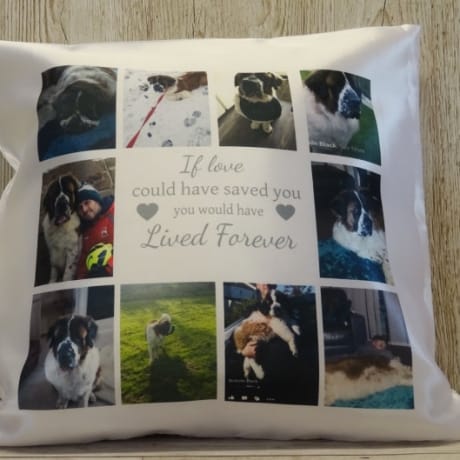 Personalised cushion - Lived forever