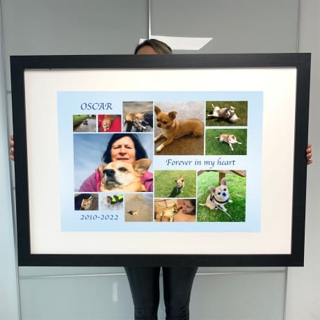 13 Photo Collage - Pet Remembrance