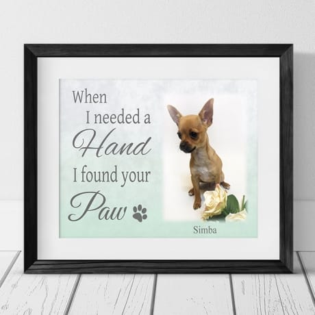 When I needed a hand Pet Photo Frame