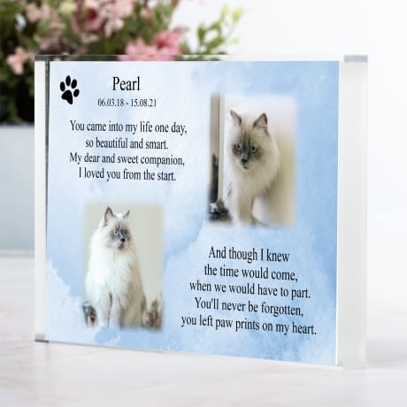 Pet Remembrance Photo Block  You came into my life 